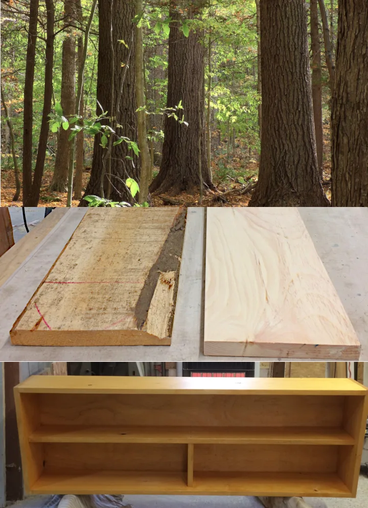 Trees, lumber, furniture